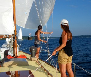 Racing Dolpin w/ the spinnaker
