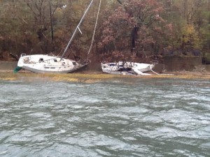 Just 2 of many on Shore Road .. or what is left of Shore Road