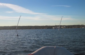 Two of 8 masts
